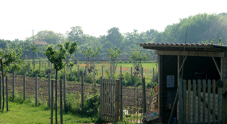 Maraîchage au Parc des Lilas, à Vitry-sur-Seine