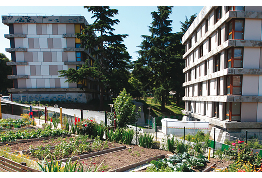 Quartier des Bleuets, Créteil