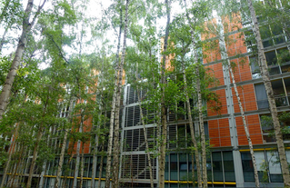 Logements à Paris, architecte Renzo Piano