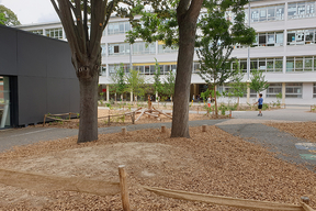 Visite des cours OASIS de Choisy-le-Roi, 21 juin 2023